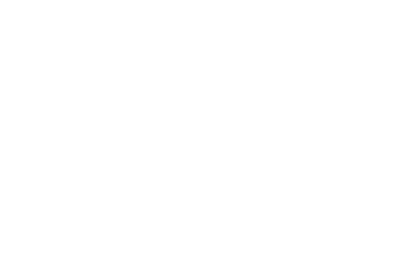 Carmilestone